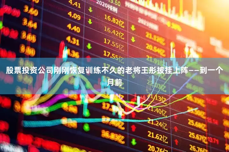 股票投资公司刚刚恢复训练不久的老将王彤披挂上阵——到一个月前
