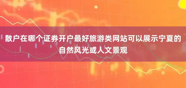 散户在哪个证券开户最好旅游类网站可以展示宁夏的自然风光或人文景观